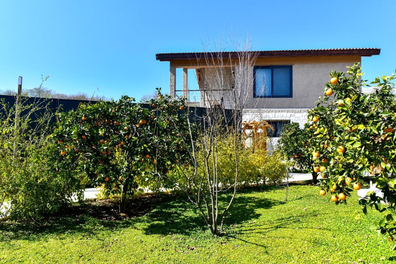 Volans Suites Villas Fethiye Exteriér fotografie